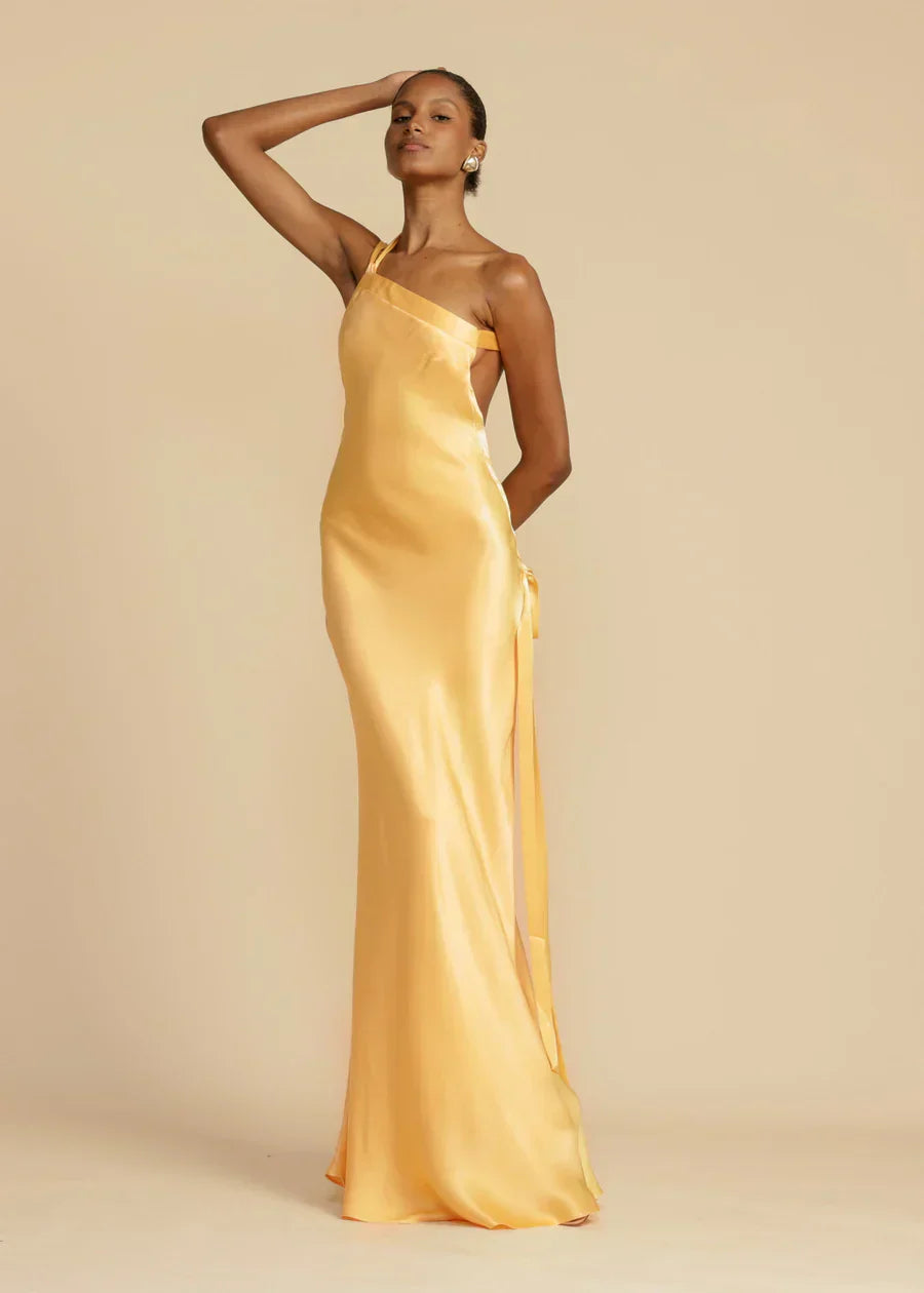 Silk Backless Strap Maxi Dress