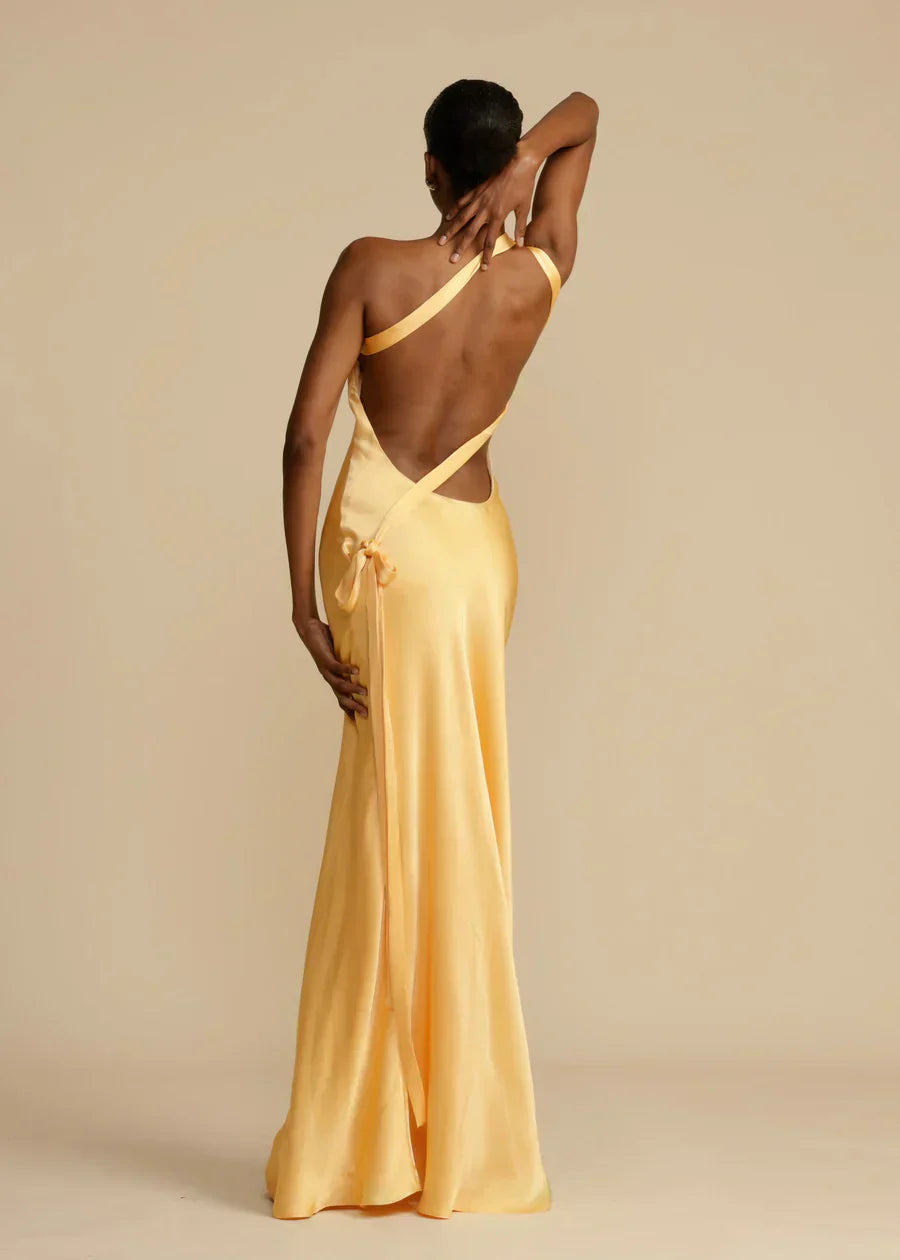 Silk Backless Strap Maxi Dress