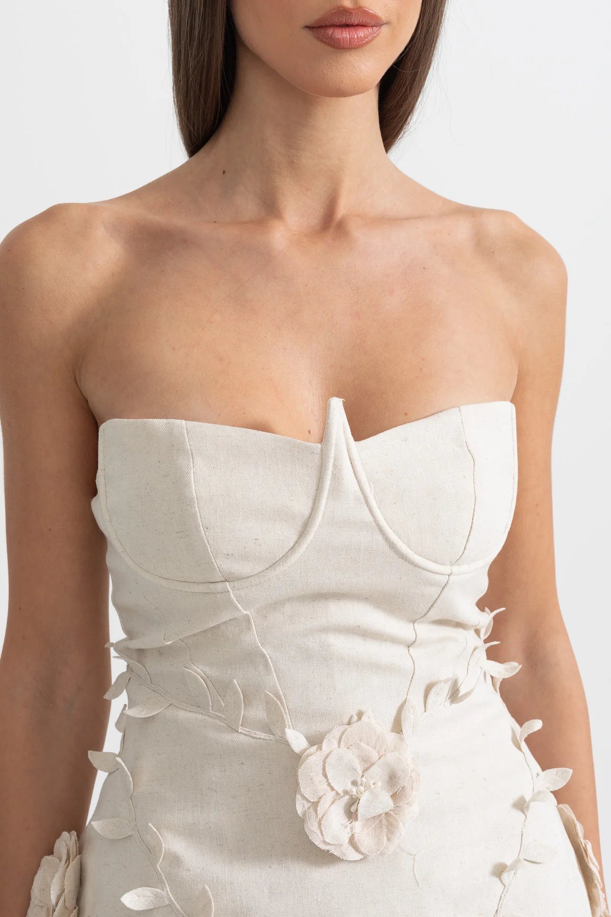 Strapless Floral Appliqués Dress